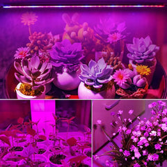 1-5Pcs Phytolamp for Plants LED Grow Light T5 Tube Full Spectrum Phytolamps For Plant 30cm 6W Vegetable Flowers Phyto Lamp